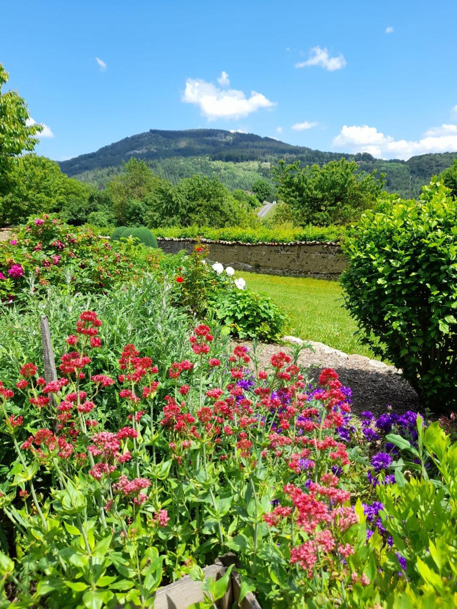 Le Jardin De Chignore Vollore-Ville Bagian luar foto